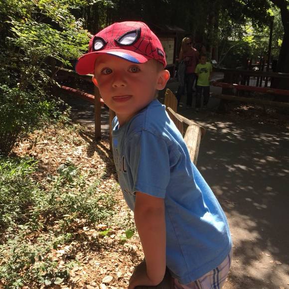 Meet your Posher, Dori - Picture 1 of 1